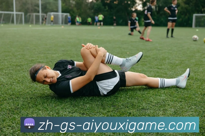 爱游戏平台生态图